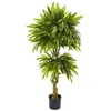 Homplanti 4.5' Slim Mango Uv Resistant (indoor/outdoor)