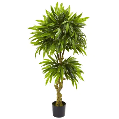 Homplanti 4.5' Slim Mango Uv Resistant (indoor/outdoor)