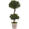 Homplanti 4.5' Sweet Bay Double Topiary Tree In Farmhouse Planter