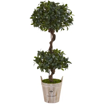 Homplanti 4.5' Sweet Bay Double Topiary Tree In Farmhouse Planter