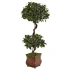 Homplanti 4.5' Sweet Bay Double Topiary Tree In Metal Planter
