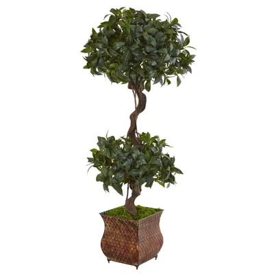 Homplanti 4.5' Sweet Bay Double Topiary Tree In Metal Planter