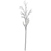 Homplanti 46" Deadwood Stem (set Of 6)