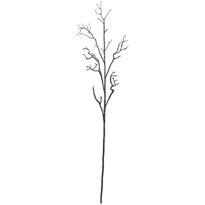 Homplanti 46" Deadwood Stem (set Of 6) In Brown