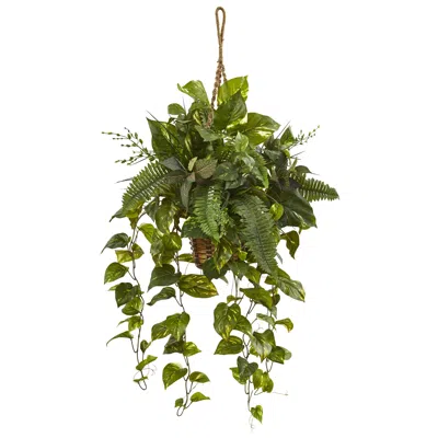 Homplanti 46" Mixed Pothos And Boston Fern In Hanging Basket