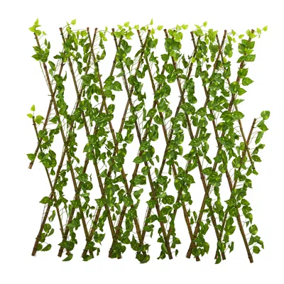 Homplanti 47" Pothos Expandable Fence Uv Resistant & Waterproof
