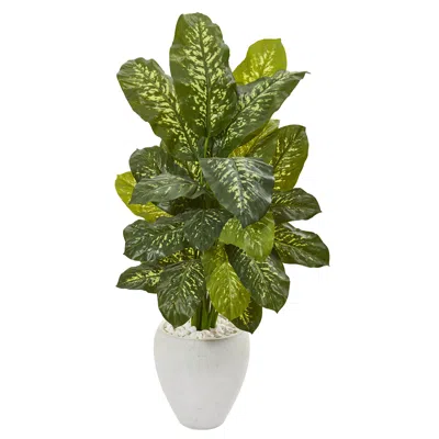 Homplanti 48" Dieffenbachia Plant In White Planter (real Touch)