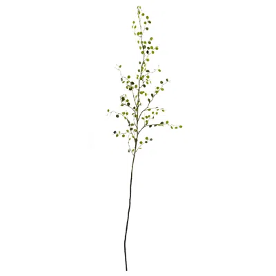 Homplanti 48" Night Willow Stems (set Of 6)