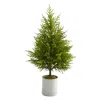 Homplanti 49" Norfolk Island Pine "natural Look" Artificial Tree