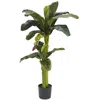 Homplanti 5'+ 3' Banana Tree W/bananas X 2