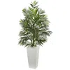 Homplanti 5' Areca Palm Tree In Planter Uv Resistant (indoor/outdoor)