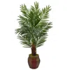 HOMPLANTI 5' ARECA PALM TREE IN WEAVE PLANTER