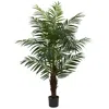 Homplanti 5' Areca Palm Tree W/486 Lvs