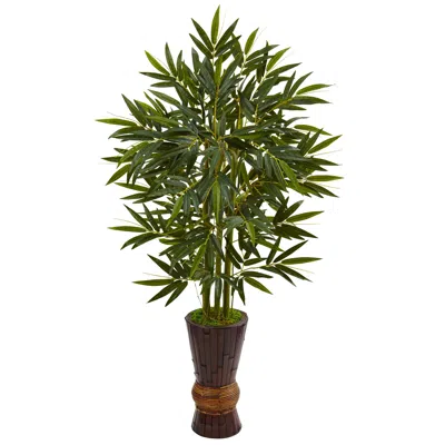Homplanti 5' Bamboo Tree In Bamboo Planter