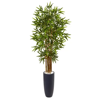 Homplanti 5' Bamboo Tree In Gray Cylinder Planter