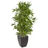 Homplanti 5' Bamboo Tree In Planter (real Touch) Uv (indoor/outdoor)