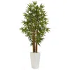 Homplanti 5' Bamboo Tree In White Tower Planter