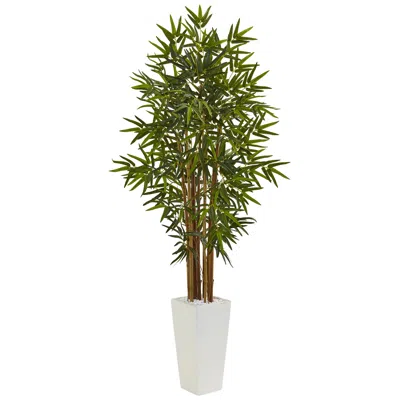 Homplanti 5' Bamboo Tree In White Tower Planter