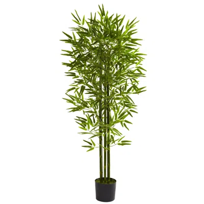 Homplanti 5' Bamboo Tree Uv Resistant X 3 W/880 Lvs (indoor/outdoor)