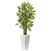 Homplanti 5' Bamboo Tree With White Planter Uv Resist (indoor/outdoor)