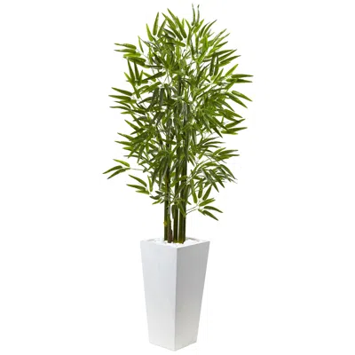 Homplanti 5' Bamboo Tree With White Planter Uv Resist (indoor/outdoor)