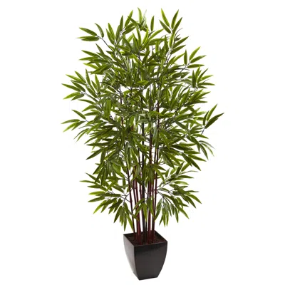 Homplanti 5' Bamboo Tree X 12 W/planter