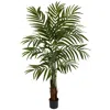 Homplanti 5' Big Palm Tree X 3 W/270 Lvs