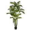 Homplanti 5' Biggy Style Areca Tree W/840 Lvs