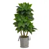 Homplanti 5' Bird Nest Tree In Jute Planter Uv (indoor/outdoor)