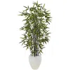 Homplanti 5' Black Bamboo Tree In White Oval Planter