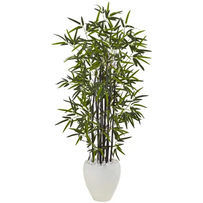 Homplanti 5' Black Bamboo Tree In White Oval Planter