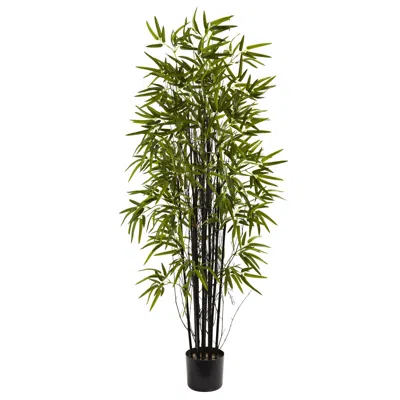 Homplanti 5' Black Bamboo Tree X 13 W/744 Lvs