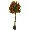 Homplanti 5' Bougainvillea Topiary Tree