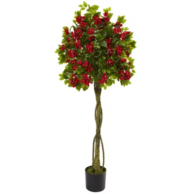 Homplanti 5' Bougainvillea Topiary Tree