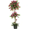 Homplanti 5' Bougainvillea Topiary Tree W/743 Lvs