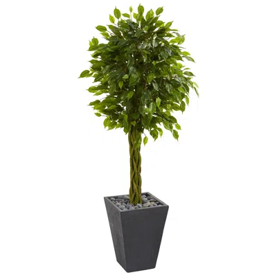 Homplanti 5' Braided Ficus Tree In Planter Uv Resist(indoor/outdoor)