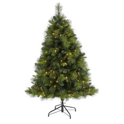 Homplanti 5' Carolina Pine Xmas Tree With 200 Leds, 711 Tips & Cones