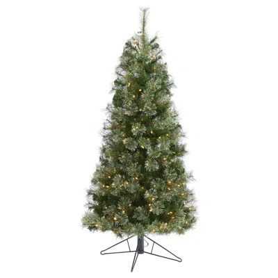 Homplanti 5' Cashmere Slim Xmas Tree W/250 Lights And 408 Tips In Green