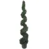 Homplanti 5' Cedar Spiral Tree W/1492 Lvs