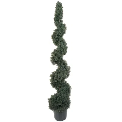 Homplanti 5' Cedar Spiral Tree W/1492 Lvs