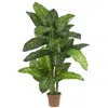 Homplanti 5' Dieffenbachia Plant (real Touch)