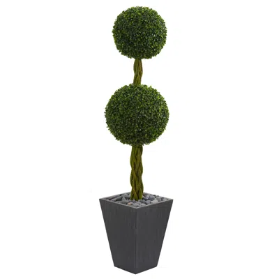 Homplanti 5' Double Boxwood In Slate Planter Uv (indoor/outdoor)