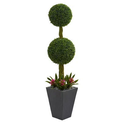 Homplanti 5' Double Boxwood Tree In Planter Uv Res(indoor/outdoor)