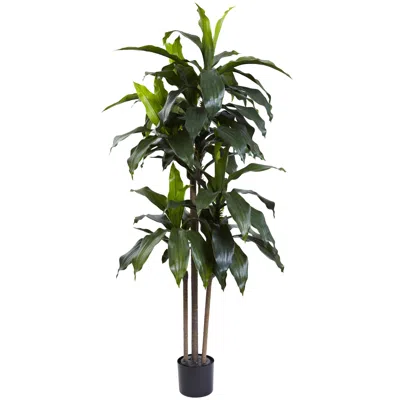 Homplanti 5' Dracaena Plant W/58 Lvs Uv Resistant(indoor/outdoor)