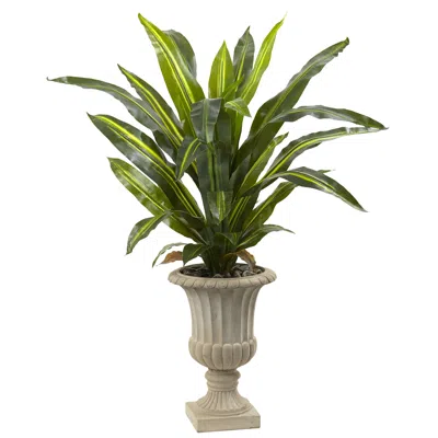 Homplanti 5' Dracaena Plant With Urn (real Touch)