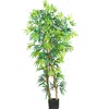 HOMPLANTI 5' FANCY BAMBOO TREE W/1300 LVS