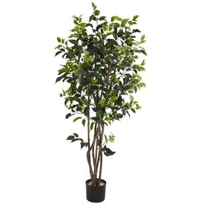 Homplanti 5' Ficus Bushy Tree W/780 Lvs