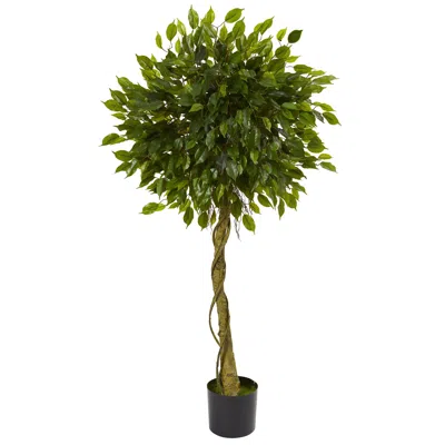 Homplanti 5' Ficus Tree Topiary Uv Resistant (indoor/outdoor)