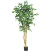 Homplanti 5' Ficus Tree W/756 Lvs