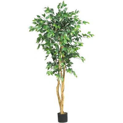 Homplanti 5' Ficus Tree W/756 Lvs